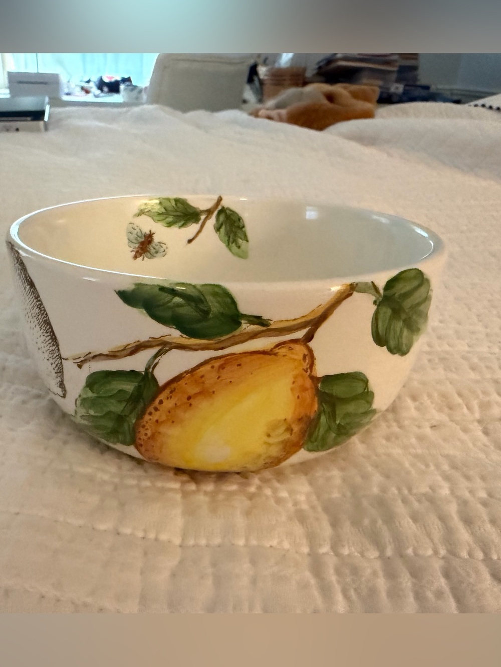 Maxcera Lemon Versatile Bowl